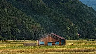 Komshiu i Martuar me q in fort deri sa d erdhem