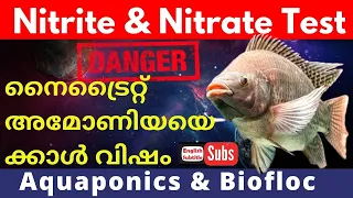 How to test Nitrite and Nitrate in Fish tank | Nitrite and Nitrate test in Aquaculture Malayalam