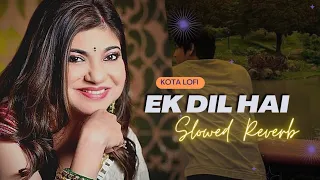 Ek Dil Hai (Slowed+Reverb) - Alka Yagnik | Kumar Sanu | Kota Lofi
