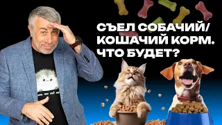 Съел собачий/кошачий корм. Что будет?