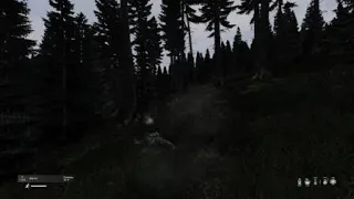 DayZ психологическое оружие