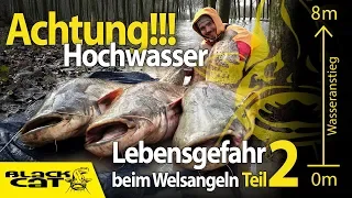 Lebensgefahr beim Welsangeln | Achtung Hochwasser!!! | 258cm Waller - 118 Kilo