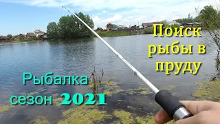 Рыбалка сезон 2021. Поиск рыбы в пруду. Рыбалка на водоемах Иркутской области