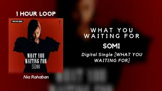 [ 1 HOUR LOOP | 1 시간 ] SOMI _ WHAT YOU WAITING FOR