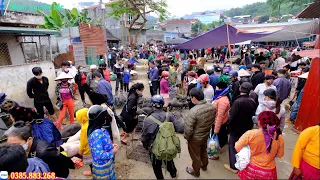 Chợ Phiên Yên Minh Hà Giang Mộc Mạc Bán Toàn Đặc Sản Quý | Miền núi tây bắc