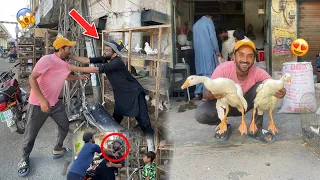 Ajj Pet Market Mein Kala Daku Se Phadda Ho Gaya😱Big Ducks K Baby Le Aye😍