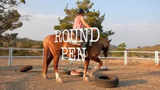 Riding Rhodes - Reiten Rhodos by A&E Elpida Ranch