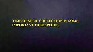 Artificial Regeneration,planting Seed science, seed collection time in important tree species