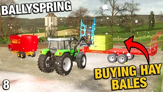 FEEDING THE JERSEY COWS AND REDRILLING THE GRASS BallySpring FS22 Ep 8