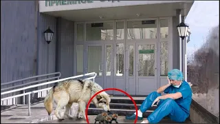 El lobo colocó una pequeña criatura a los pies del médico, sucedió lo increíble