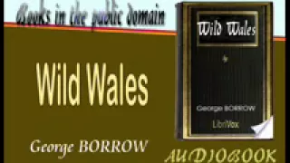 Wild Wales George BORROW Audiobook Part 3