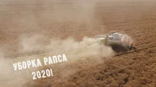 Уборка Рапса 2020! Комбаин Class Lexion!