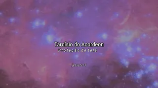 Tarcísio - Proteção de tela Slowed e Reverb