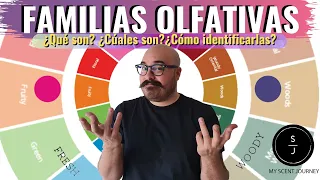 | Cúales son las Familias Olfativas y como identificarlas | My Scent Journey