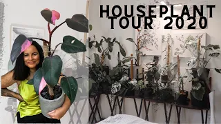 Houseplant Tour 2021/ My Plant Collection