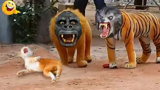 Funny Animals 😹 Funny Cats & Dogs Videos 😁 Funniest Animals 2023 #4