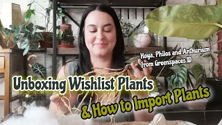 Unboxing Wishlist Plants & How I Import Plants🌿 (featuring a plant haul from GREENSPACES)