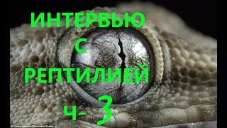 ИНТЕРВЬЮ С РЕПТИЛИЕЙ Ч-3