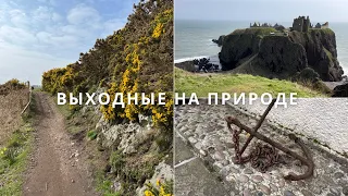 Шотландский Замок Dunnottar, Весенняя Прогулка у Моря и Рецепт Мёда из Одуванчиков