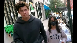 Shawn Mendes and Camila Cabello walk by big trash bags when out for dinner in New York