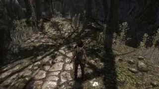 TombRaider-GT 220