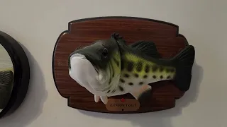 The Rainbow Trout (Straight Wood Big Mouth Rainbow Trout Variant) Reupload