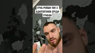 ГРИБ РЕЙШИ ЭФФЕКТЫ