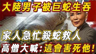 大陸男子進山被十五米巨蛇吞下，家人急忙殺蛇救人，高僧卻大喊：你們這會害死他！｜佛說