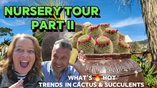 Epic agaves trend & unique succulents~ NURSERY TOUR