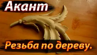 Классическая резьба по дереву. Акант