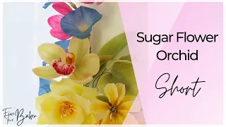 Sugar Flower Orchid ⎸ Cake Topper Flowers