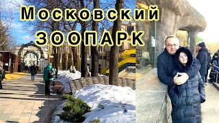 Московский зоопарк. Где погулять в Москве?