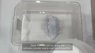 Epson SureColor F2200 Dye Sublimation printer - DTFilm Tutorial
