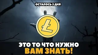 ЕСЛИ у тебя  есть АЛЬТКОИНЫ, ПОСМОТРИ ЭТО видео! LTC Халвинг Анализ Прогноз 2019