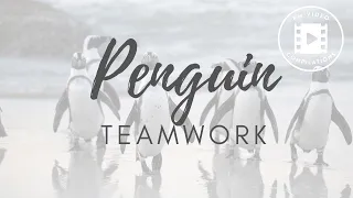 TEAMWORK Lesson #2 Team Penguin || Teamwork can make a Dreamwork || Many are better than One