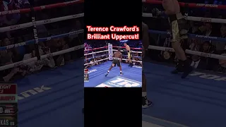 Terence Crawford’s Brilliant Uppercut #boxing #terencecrawford #jab #boxinglife #boxingnews #mma