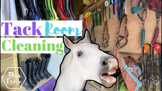 Major Tack Room Clean and Reorganisation! AD | This Esme