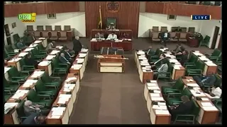 2020/2021 Budget Debate Contribution By the Opposition Mr. Mark Golding