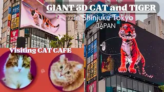 GIANT 3D CAT and TIGER + CAT CAFE in SHINJUKU TOKYO, JAPAN