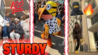 Sturdy Dance [V8] 🔥💯🌍 | TikTok Compilation