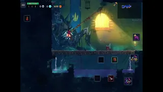 Dead cells glitch