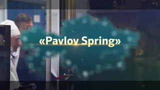 Vitality Lux, Perfecto lux, Immuno Lux на основе концентрата Pavlov Spring.