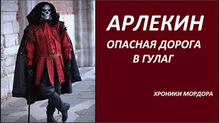 АРЛЕКИН опасная дорога № 2984