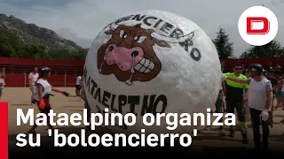 Mataelpino organiza su 'boloencierro' tradicional con una bola de más de 200 kilos