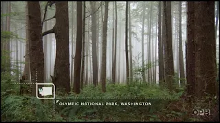 Olympic National Park Hike - OPB Oregon Field Guide