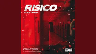 Risico