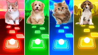 Cute Cats - Enemy x Savage Love vs Cute Dogs - Uptown Funk x Baby Shark | Tiles Hop EDM Rush