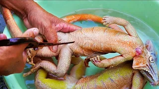 Vietnamese Street Food - IGUANA LIZARD CURRY Mui Ne Vietnam