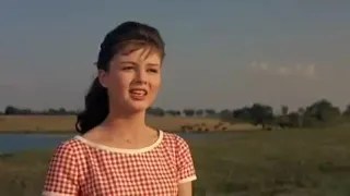 State fair 1962 Pat Boone