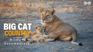 The Punks Strike Back - Big Cat Country [2023] हिन्दी डॉक्यूमेंट्री | Wildlife documentary in Hindi